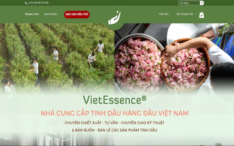 tinh dầu Hà Nội Vipsen