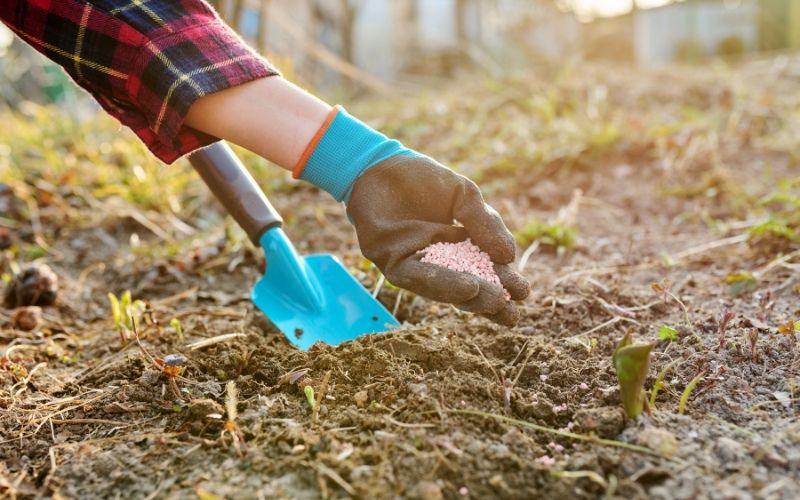Đối với chất lượng nông sản của cây trồng