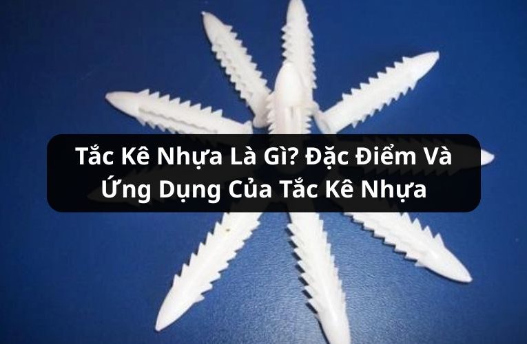 tắc kê nhựa