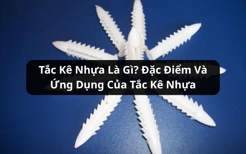 tắc kê nhựa
