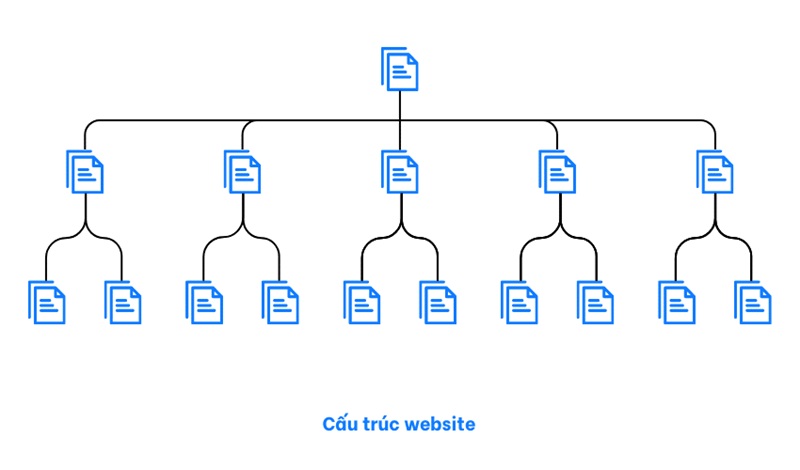 phân cấp website rõ ràng, logic