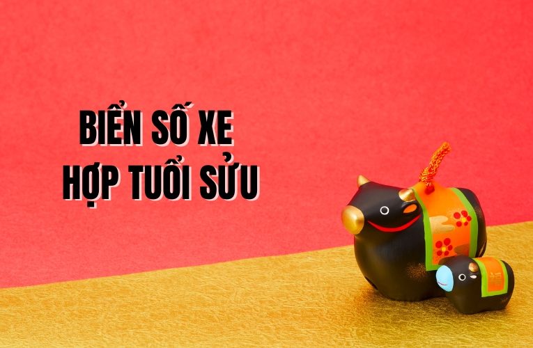 biển số xe hợp tuổi sửu