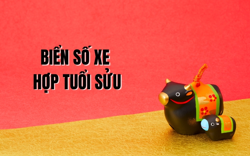 biển số xe hợp tuổi sửu