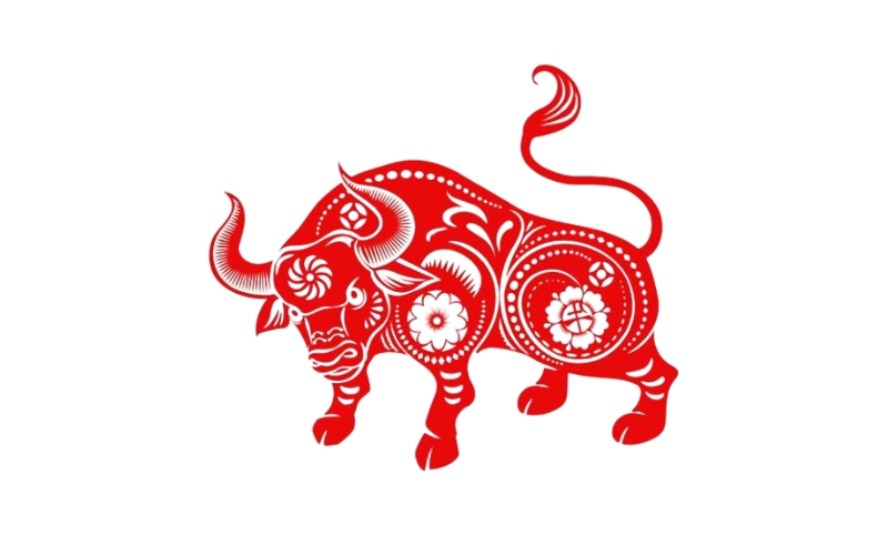 người tuổi sửu